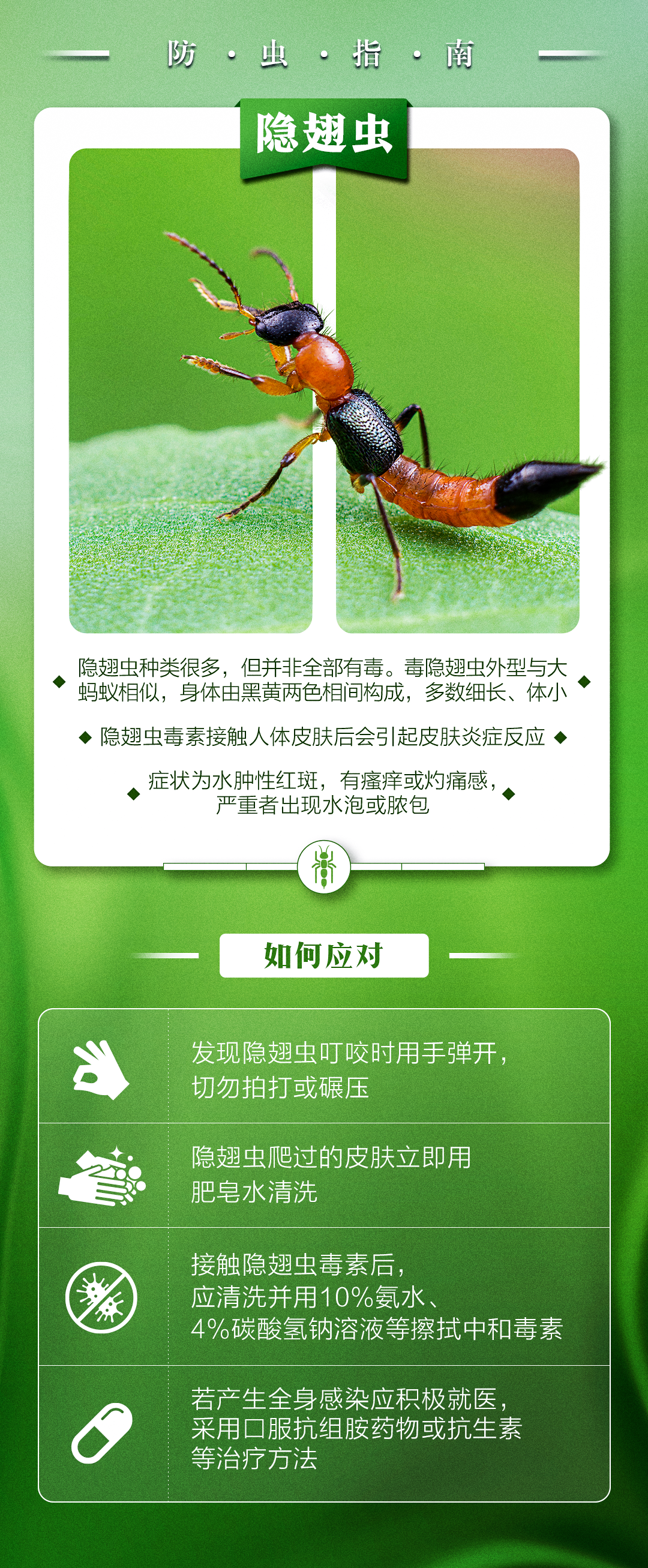 曲阳街道民生回应上春山小心虫想要快乐踏青先看这里