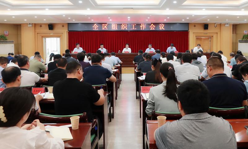 全区组织工作会议召开
