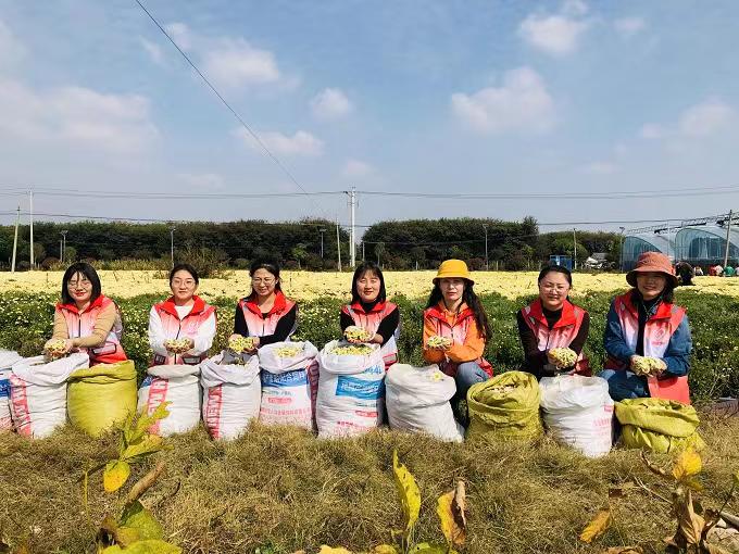 青年志愿者义务活动。相山区委宣传部供图